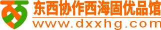 东西协作西海固优品馆